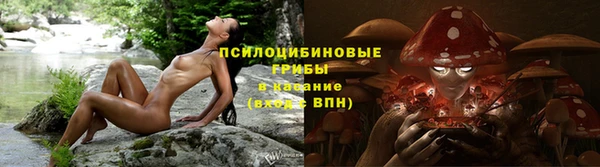 дурь Алексеевка