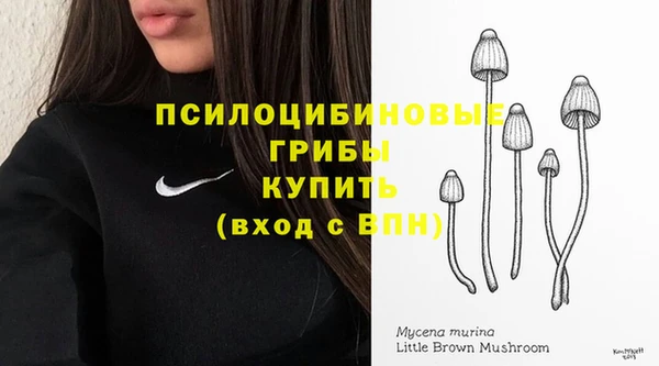 дурь Алексеевка
