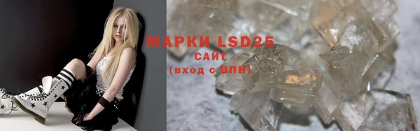 ПСИЛОЦИБИНОВЫЕ ГРИБЫ Алзамай