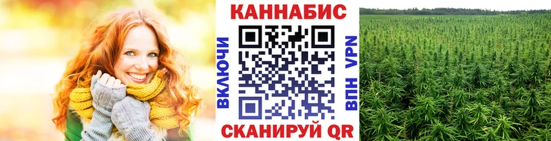 Шишки марихуана LSD WEED  наркотики  Новоалтайск 